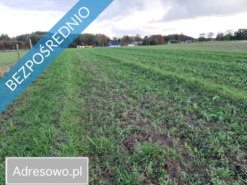 Działka rolno-budowlana Pobłocie. Zdjęcie 9