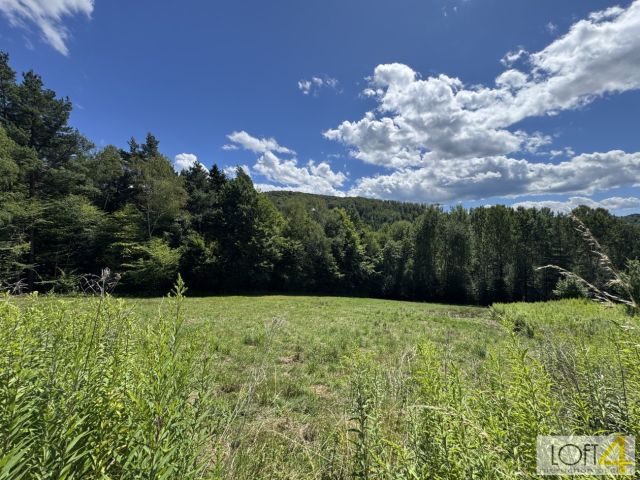 Działka budowlana Paleśnica. Zdjęcie 12