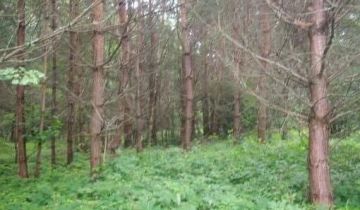 Działka rekreacyjna Kuźmina