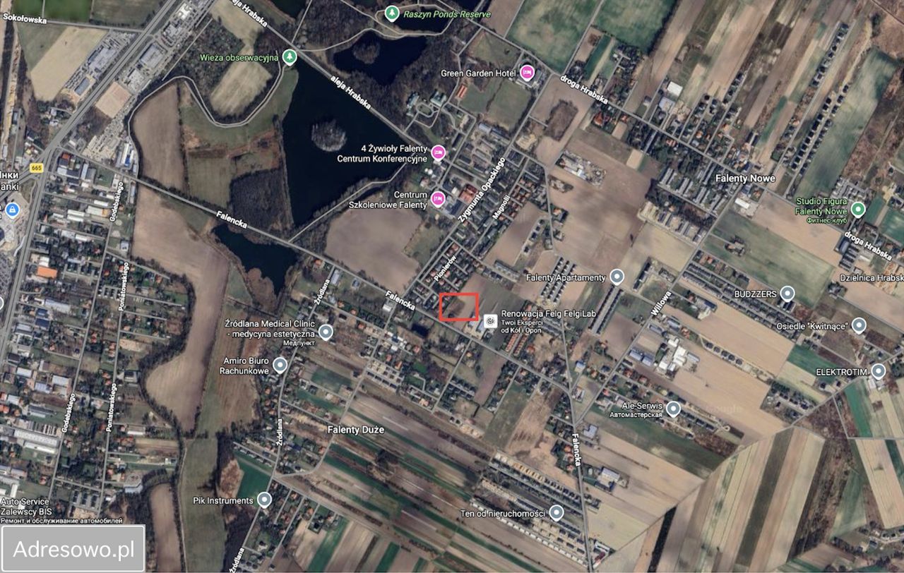 Działka budowlana Falenty Nowe, ul. Falencka. Zdjęcie 4