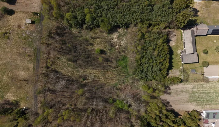 Działka rolno-budowlana Ruda Wołoska, -