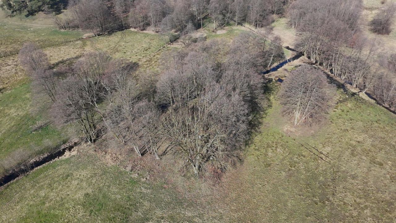 Działka rolna Rydzewo. Zdjęcie 8