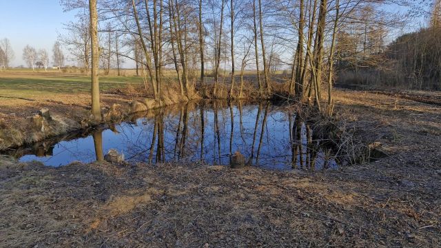 Działka rolno-budowlana Tomaszew. Zdjęcie 13