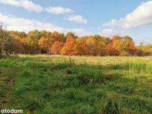 Działka budowlana Brzesko Słotwina, ul. Odrodzenia. Zdjęcie 1