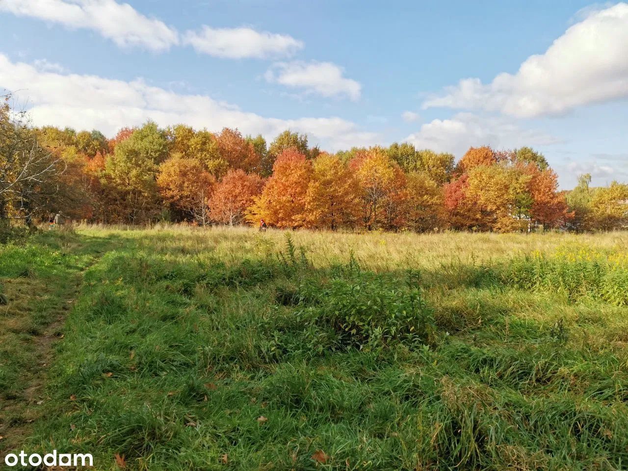Działka budowlana Brzesko Słotwina, ul. Odrodzenia. Zdjęcie 2