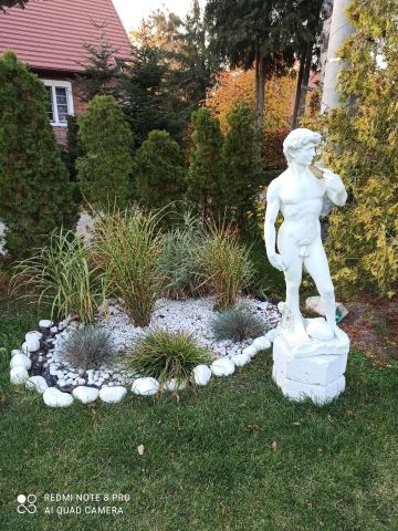 dom wolnostojący, 6 pokoi Kadyny. Zdjęcie 14