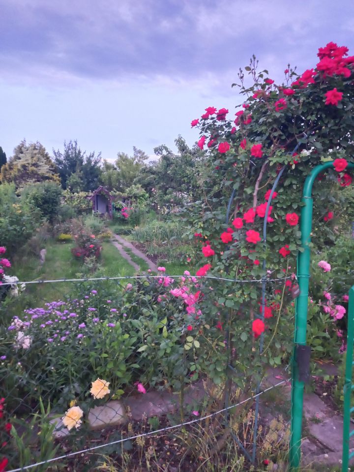 Działka rod Wrocław Szczepin, ul. Starogroblowa. Zdjęcie 2