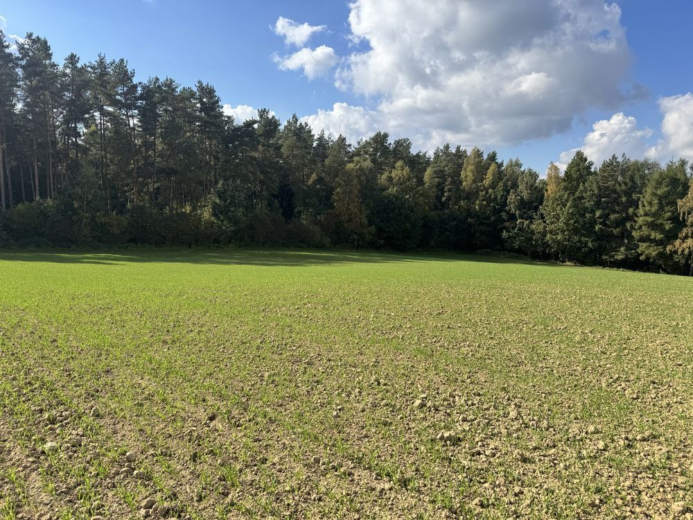 Działka budowlana Smołdzino, ul. Techlinka. Zdjęcie 4