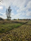Działka budowlana Pólko, Aleja Lip - Pólko. Zdjęcie 4