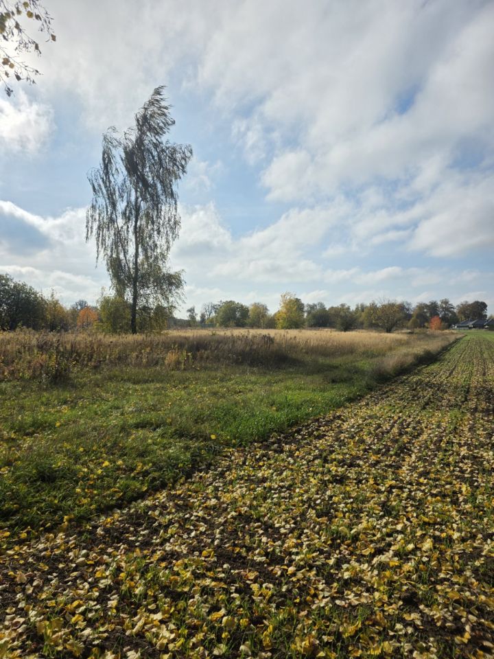 Działka budowlana Pólko, Aleja Lip - Pólko. Zdjęcie 5