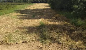 Działka na sprzedaż bez pośredników          
          
            ul. Sułowska          
          
            Księginice - Ansicht 6