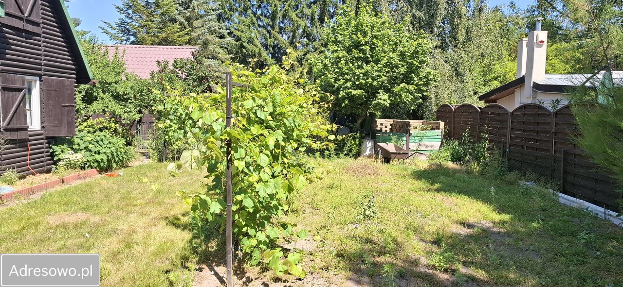 Działka rod Krępa. Zdjęcie 17