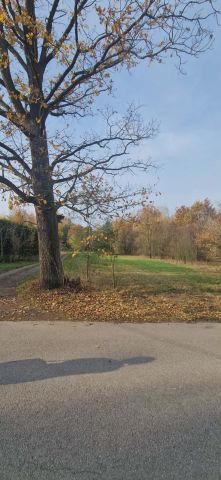 Działka budowlana Many, ul. Długa. Zdjęcie 2