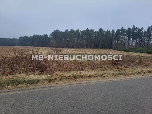 Działka rolno-budowlana Woryty. Zdjęcie 1