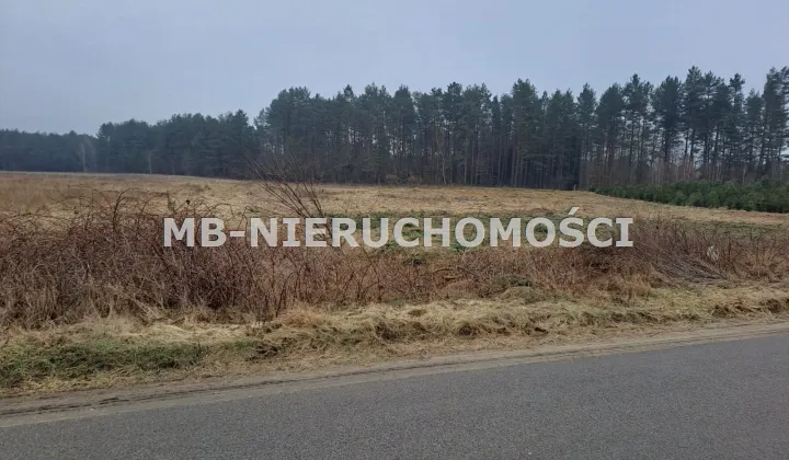 Działka rolno-budowlana Woryty