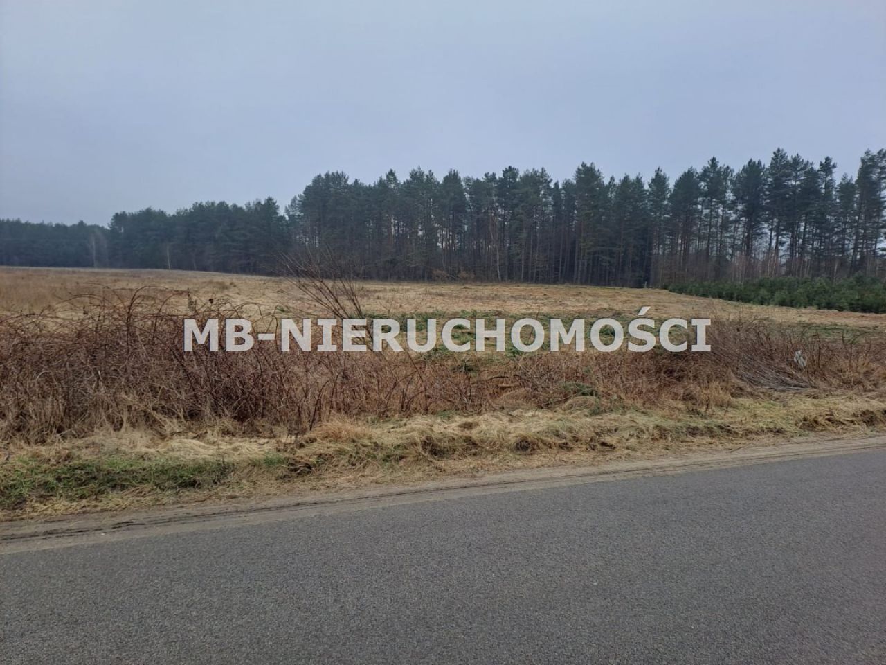Działka budowlana Woryty. Zdjęcie 1