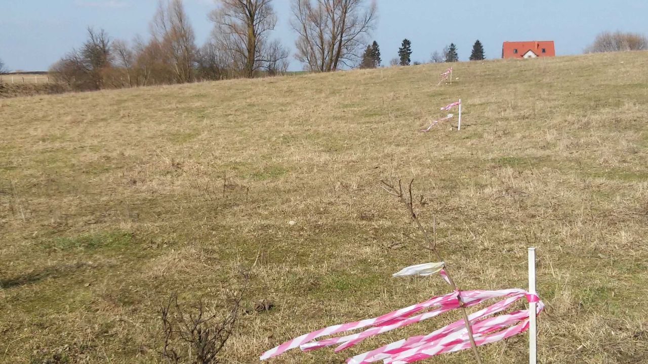 Działka budowlana Nowe Guty. Zdjęcie 4