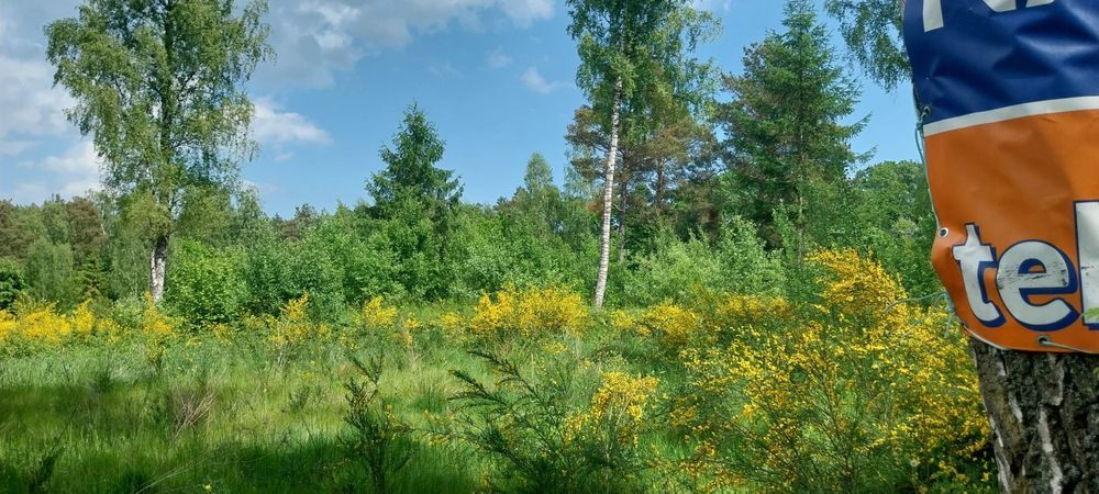 Działka budowlana Rekowo Górne, ul. Świerkowa. Zdjęcie 1