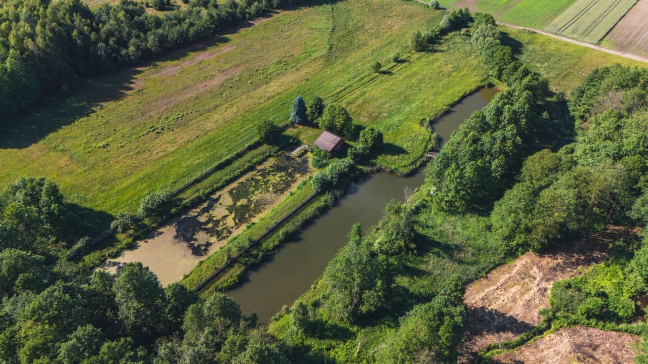 Działka rekreacyjna Żarnówka. Zdjęcie 2