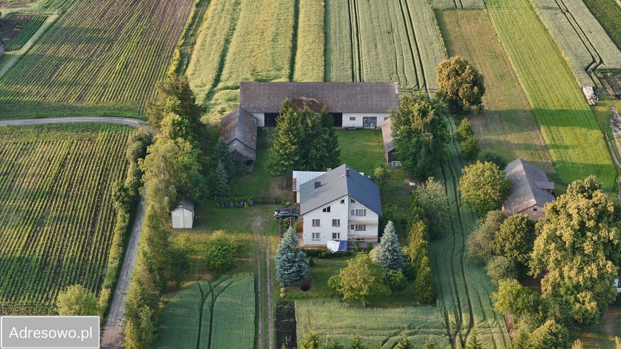 gospodarstwo, 10 pokoi Gruszka Duża-Kolonia. Zdjęcie 8