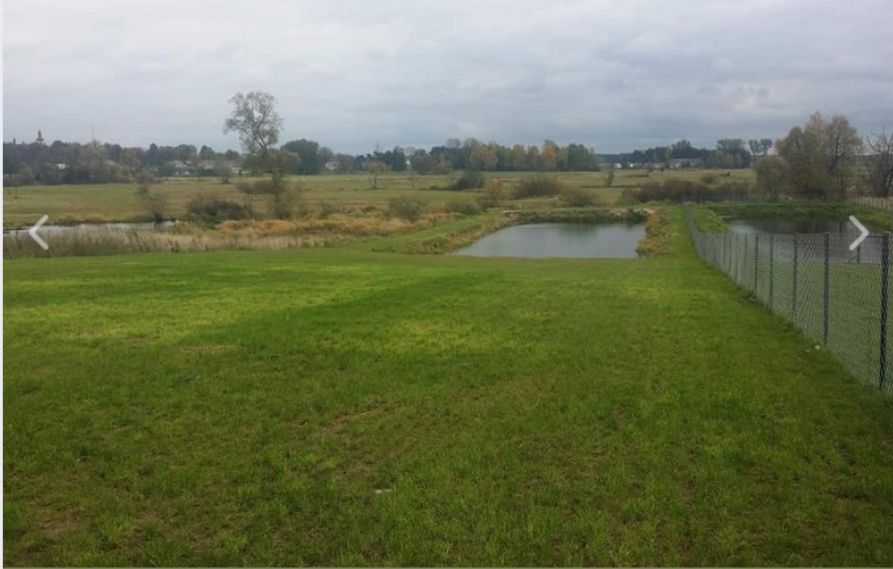 Działka siedliskowa Stara Sucha. Zdjęcie 12