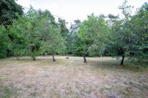 dom wolnostojący, 8 pokoi Ciechocinek, ul. Józefa Dembickiego. Zdjęcie 4