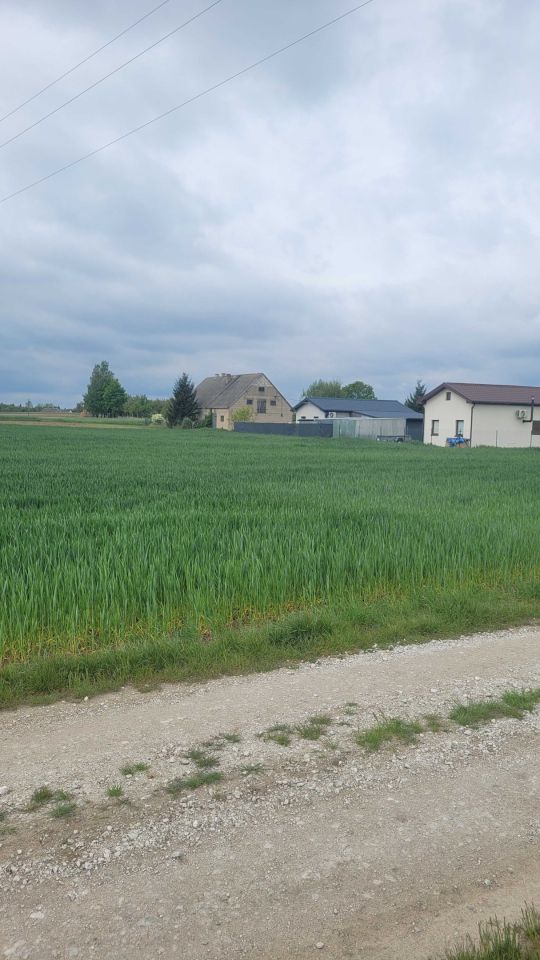 Działka rekreacyjna Miłachówek. Zdjęcie 3