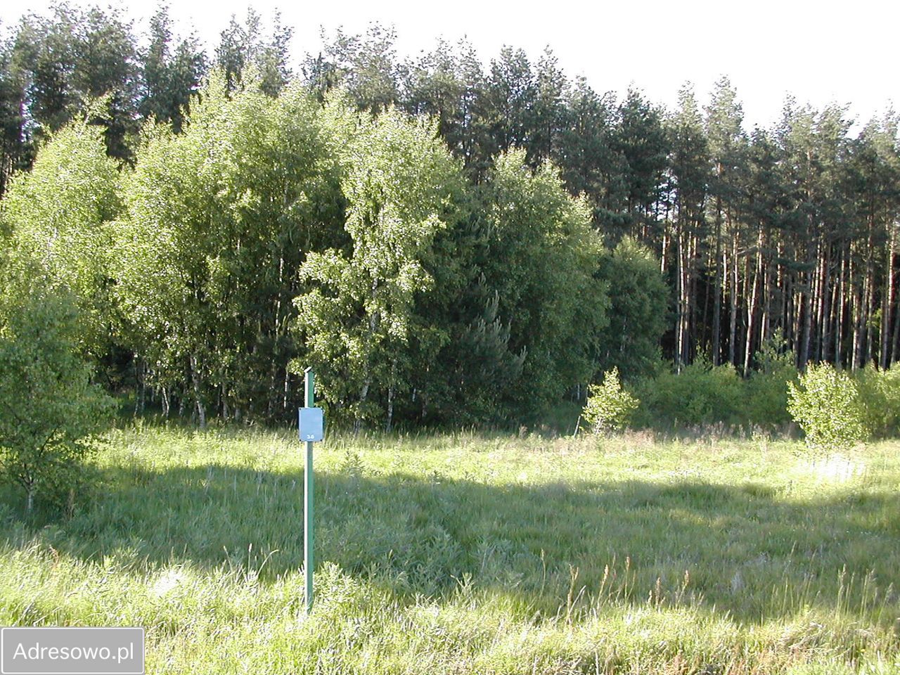 Działka budowlana Parszczyce, ul. Leśna. Zdjęcie 3