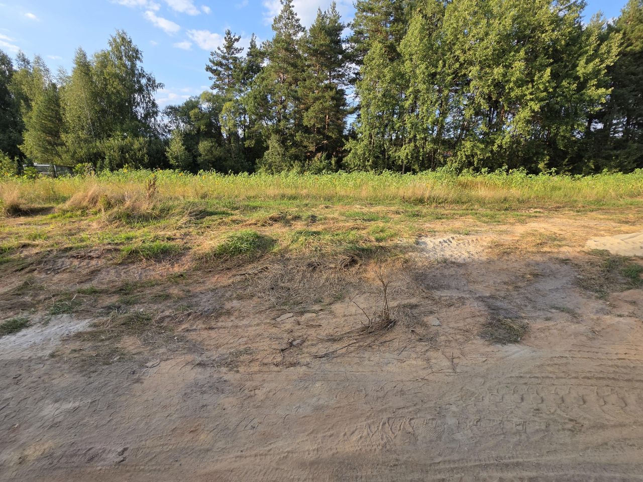 Działka inwestycyjna Suków Borki. Zdjęcie 3