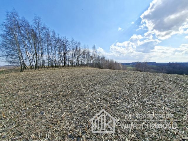 Działka Bodzanów. Zdjęcie 9