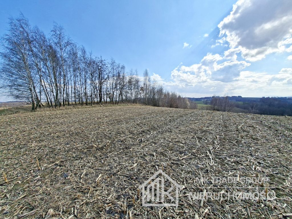 Działka Bodzanów. Zdjęcie 9