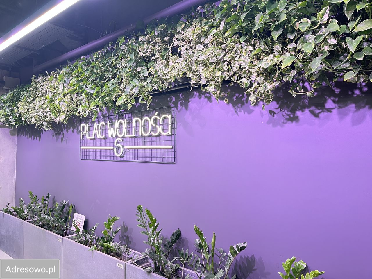 Mieszkanie 1-pokojowe Poznań Centrum, pl. Wolności. Zdjęcie 4