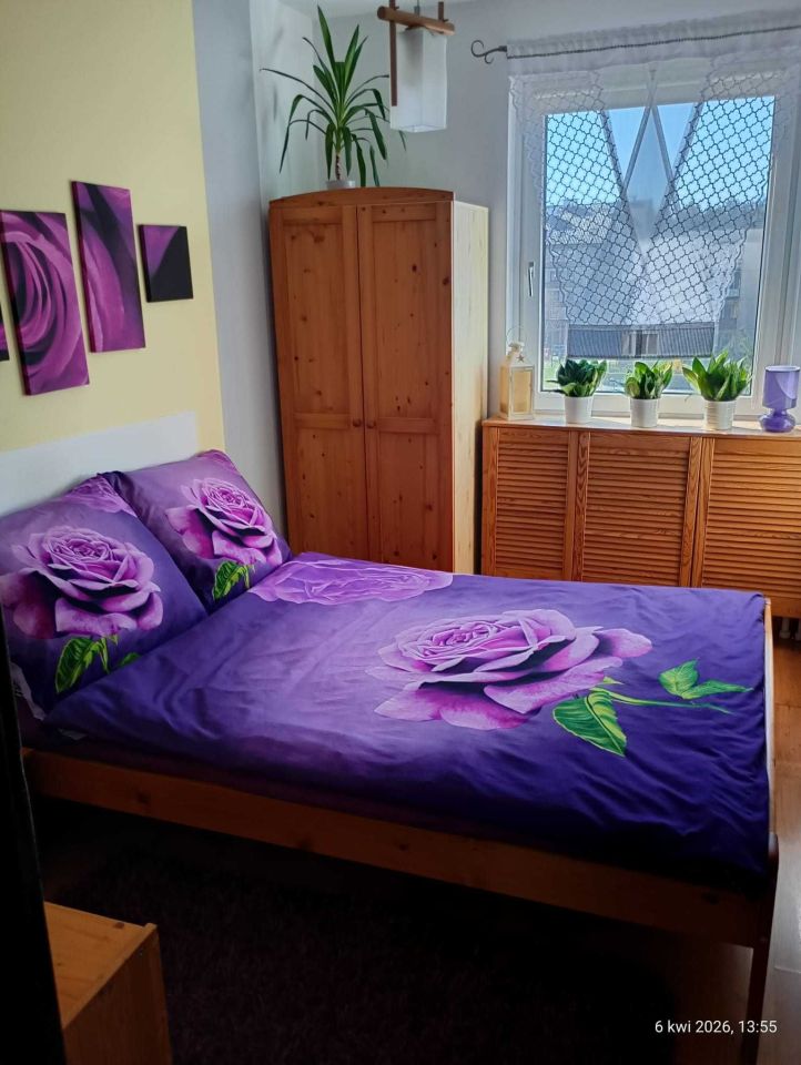 Mieszkanie 3-pokojowe Wola. Zdjęcie 3