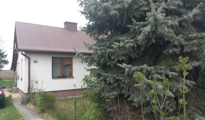 dom wolnostojący, 3 pokoje Klątwy