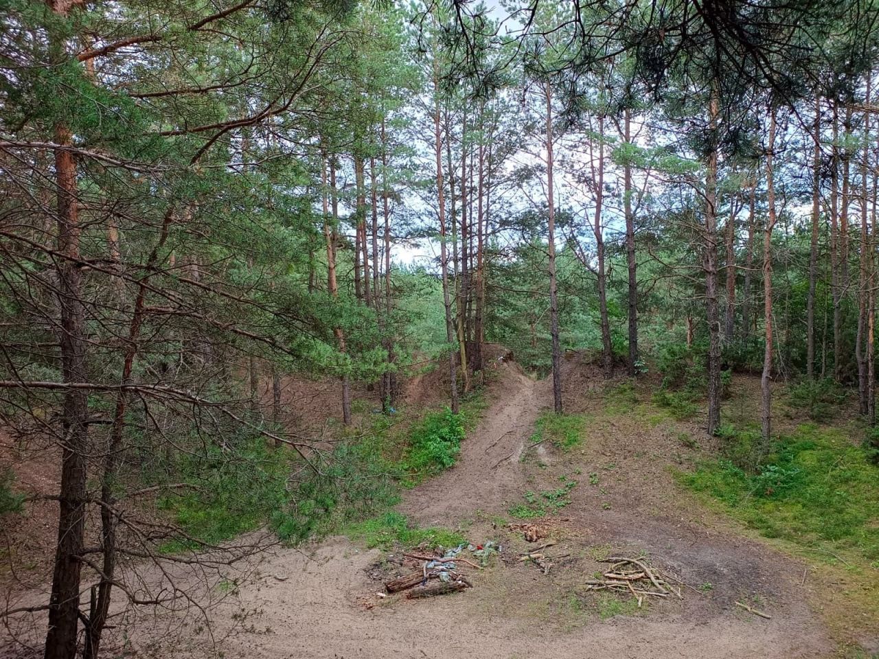 Działka leśna Rawy. Zdjęcie 17
