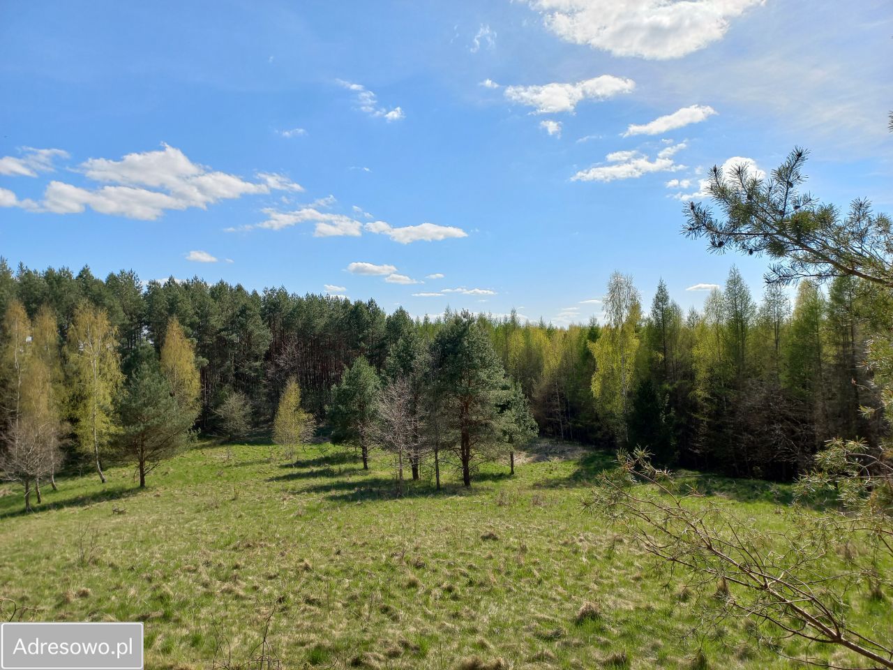 Działka rolna Niebrzydowo Wielkie. Zdjęcie 8