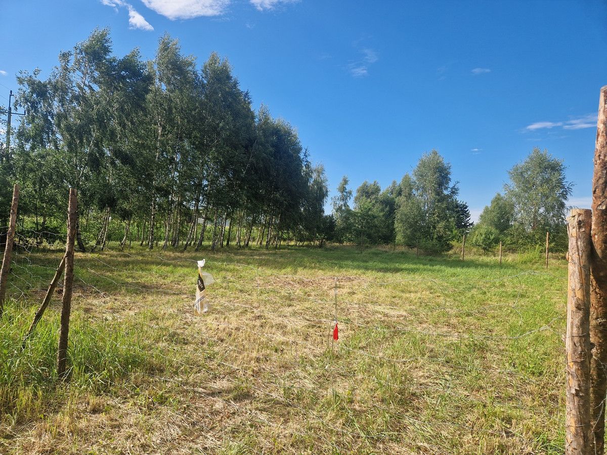 Działka budowlana Poznań Spławie, ul. Chrzanowska. Zdjęcie 5