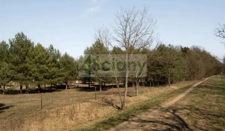 Działka budowlana Rajszew