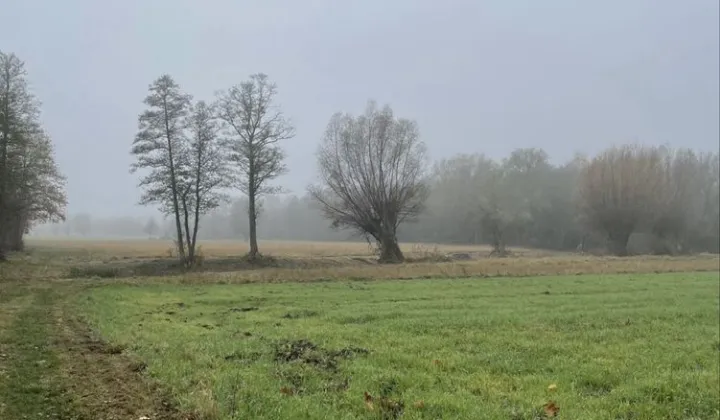 Działka inwestycyjna Rajszew