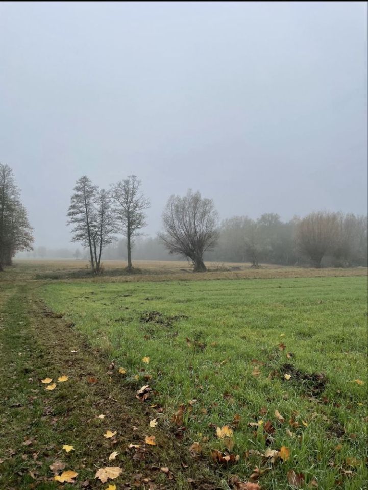 Działka inwestycyjna Rajszew. Zdjęcie 1