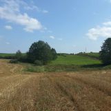 Działka rolno-budowlana Bałamutowo. Zdjęcie 2