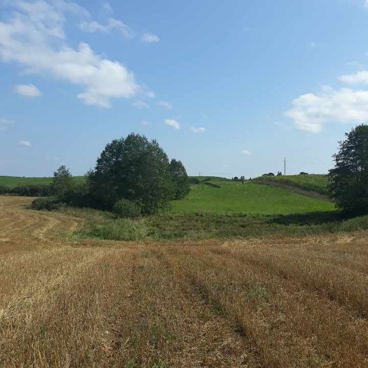 Działka rolno-budowlana Bałamutowo. Zdjęcie 3