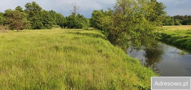 Działka rekreacyjna Ceteń. Zdjęcie 4