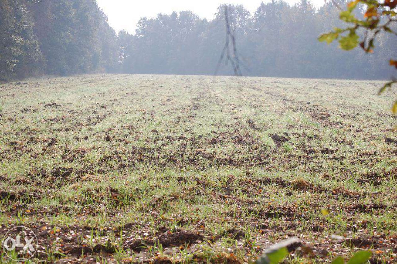 Działka budowlana Pszczyna Stara Wieś, ul. Łowiecka. Zdjęcie 7