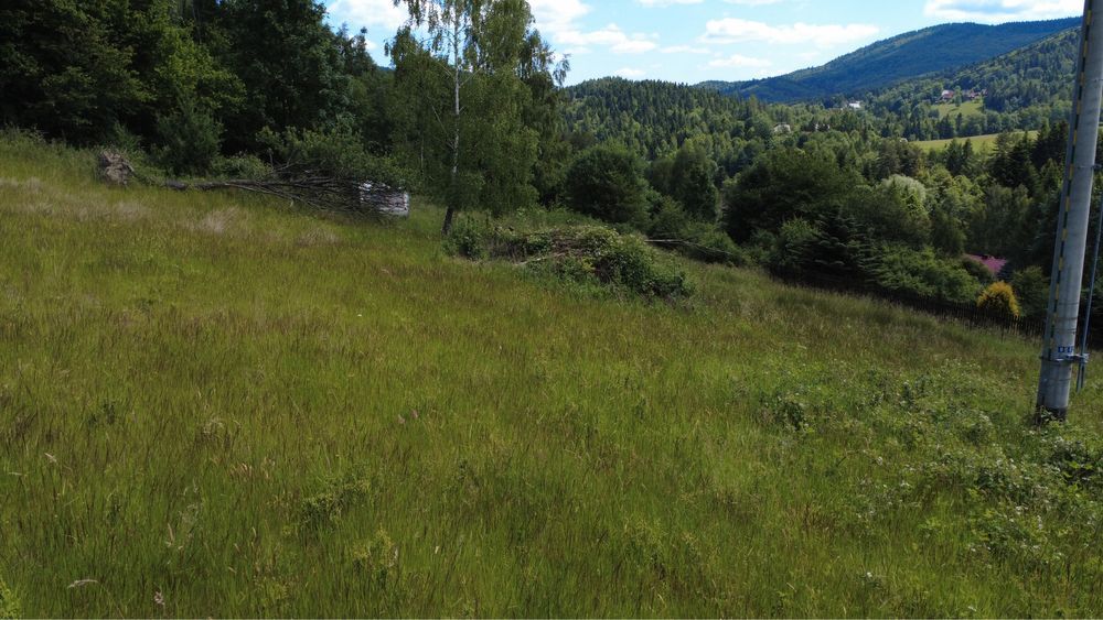 Działka rolno-budowlana Stryszawa. Zdjęcie 4