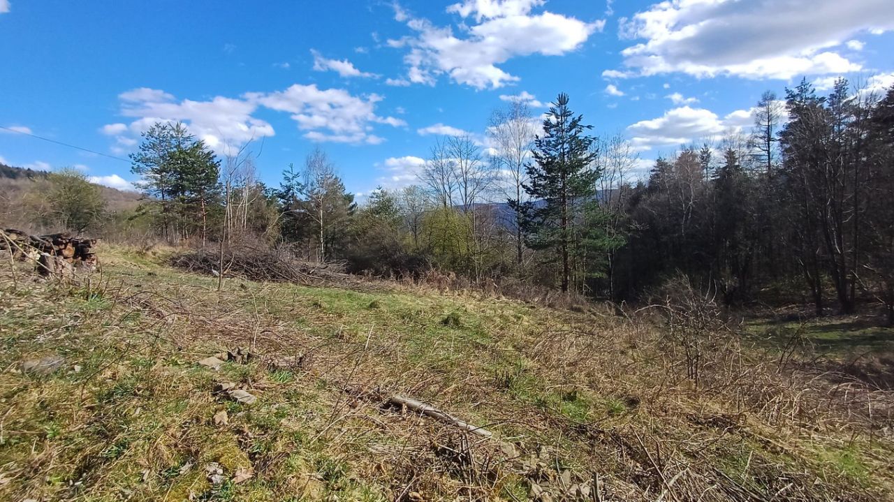 Działka rolna Maków Podhalański. Zdjęcie 4