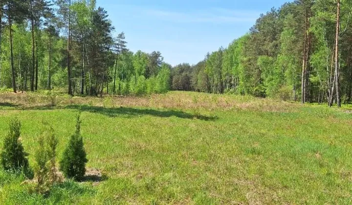 Działka budowlana Żebrówka