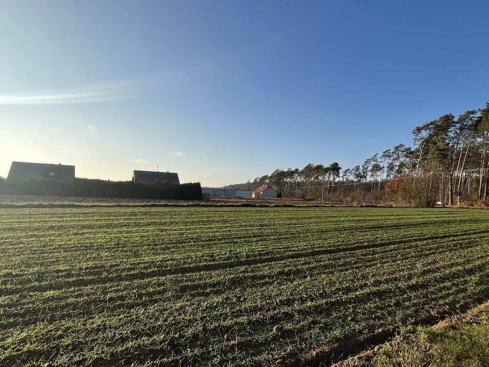 Działka budowlana Turzyn. Zdjęcie 2