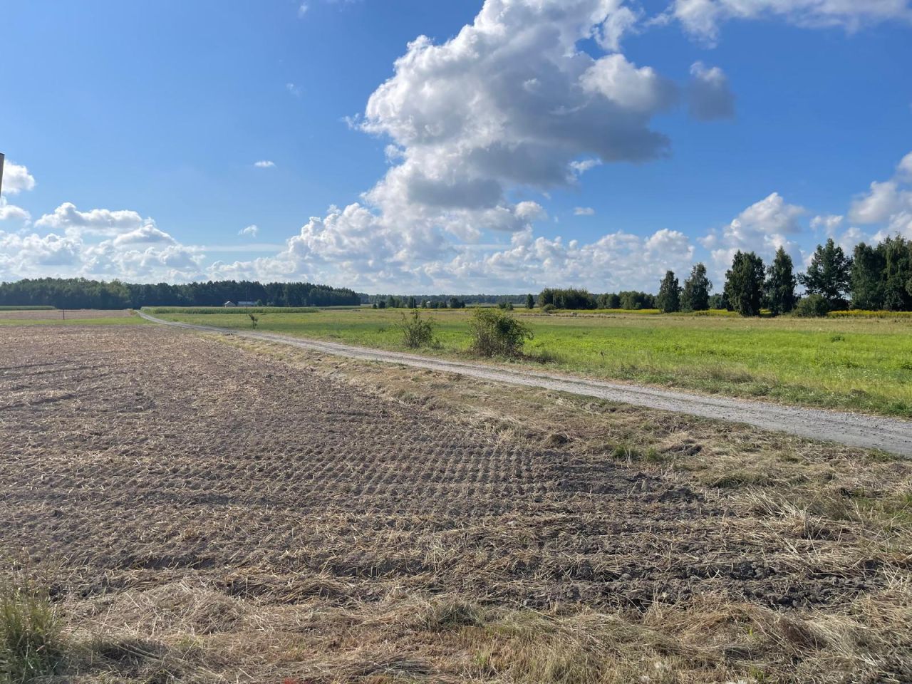 Działka budowlana Łąki. Zdjęcie 7