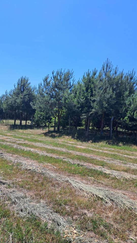 Działka budowlana Łaszczówka-Kolonia, ul. Przemysłowa. Zdjęcie 5